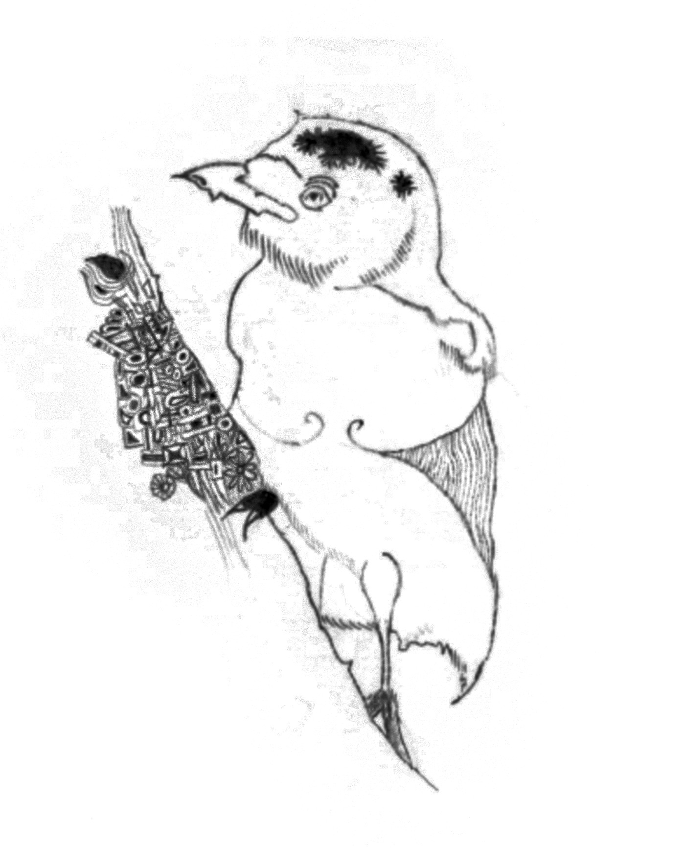 Uccellino